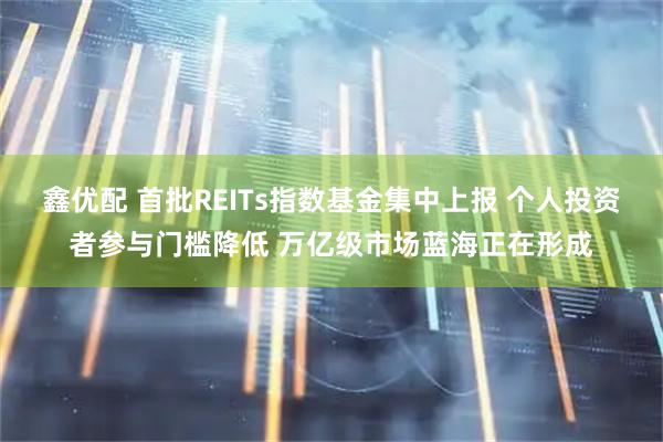 鑫优配 首批REITs指数基金集中上报 个人投资者参与门槛降低 万亿级市场蓝海正在形成